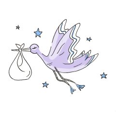 05 - cygogne